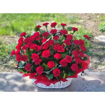 Корзина из живых цветов